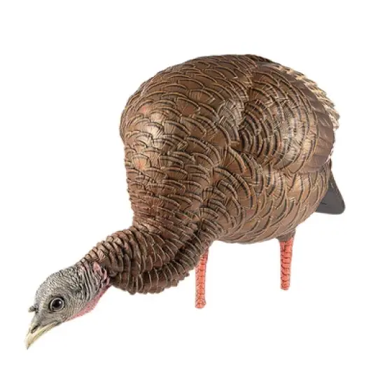 Avian X Heavy Duty Realism Feeding Hen Decoy image {1}