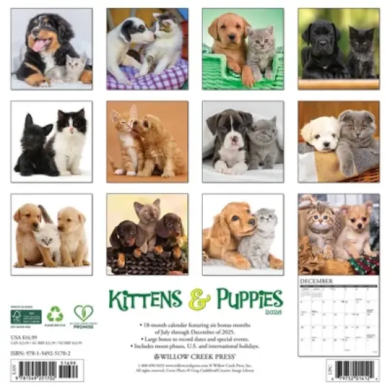 Willow Creek Press 2026 Kittens and Puppies Wall Calendar image {1}