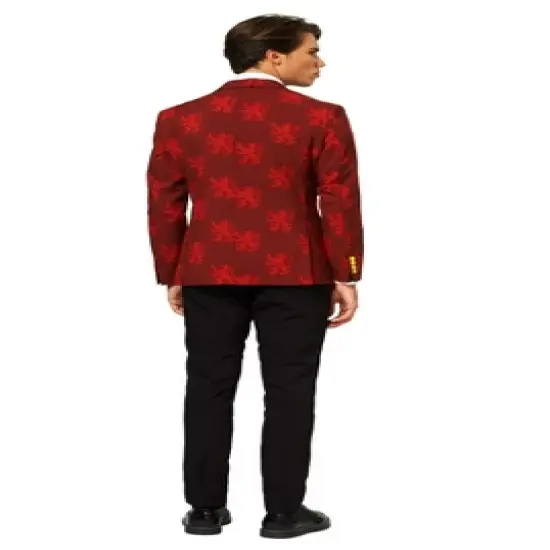 OppoSuits Men's Suit - Harry Potter Costume - Multicolor image {1}