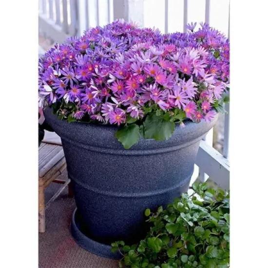 The HC Companies Terrazzo Round Plastic Planter Pot image {1}