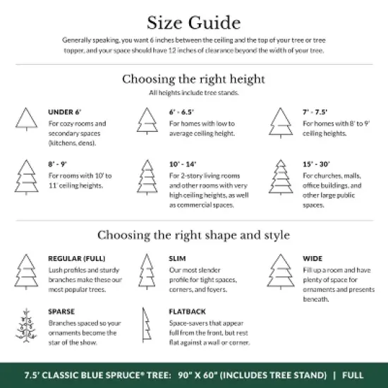 Balsam Hill 6.5' Color Clear LED Classic Blue Spruce Tree image {8}