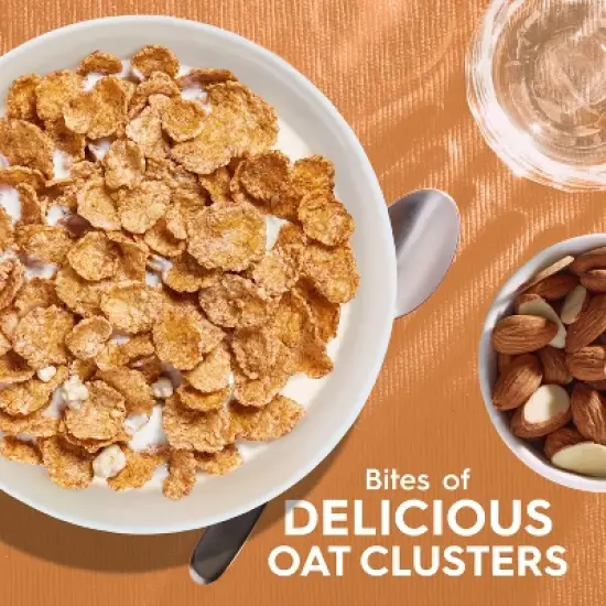 Kellogg's Special K Peaches and Cream Breakfast Cereal - 16.6oz image {1}