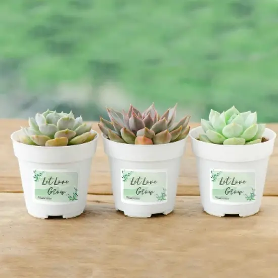 Avery Durable Easy Peel ID Labels, Sure Feed Technology, Permanent Adhesive, 2" x 2-5/8", 120 Labels (6793) image {6}