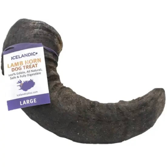 Icelandic+ Large Lamb Horn Dog Chew image {8}