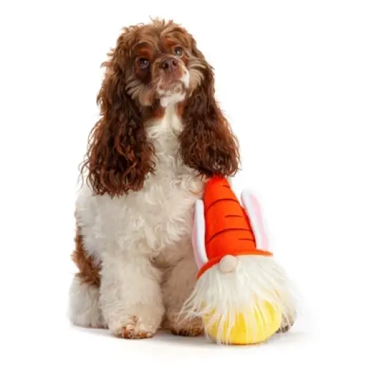 Midlee Easter Bunny Gnome Dog Toy image {2}
