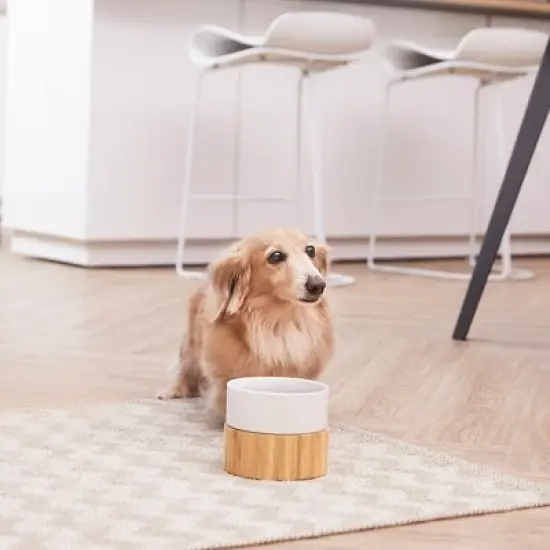 Teamson Pets Billie Raised Dishwasher Safe Food Grade White Ceramic Pet Bowl with Round Ergonomic Bamboo Stand and Non-Slip Padded Bottom, Brown image {2}