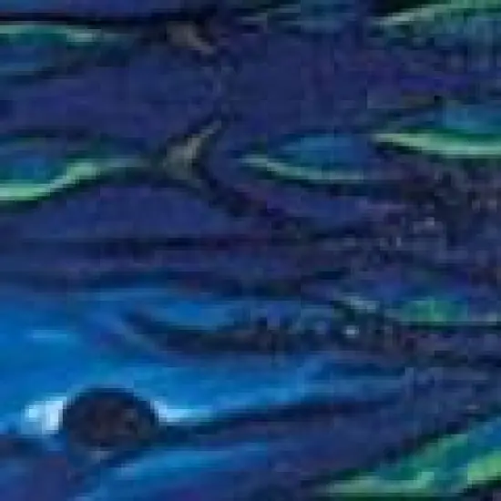 Flying Fisherman Pasta Pantaleo SunBandit Multifunctional Bandana image {2}