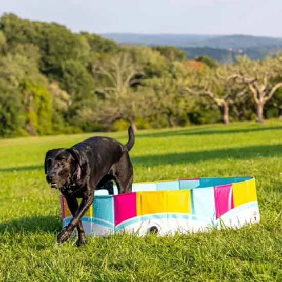 BigMouth Inc. Rainbow Foldable Hard Side Dog Pool image {7}
