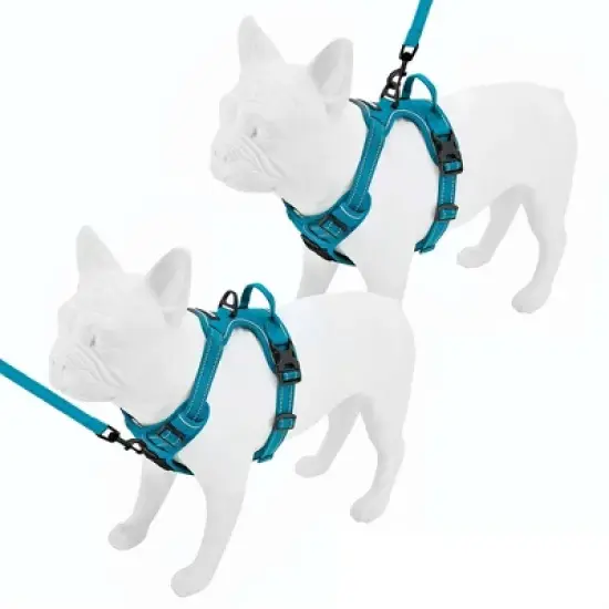 Voyager Dual-Attachment No-Pull Dog Harness for Active and Outdoor Dogs, Turquoise, XS image {3}