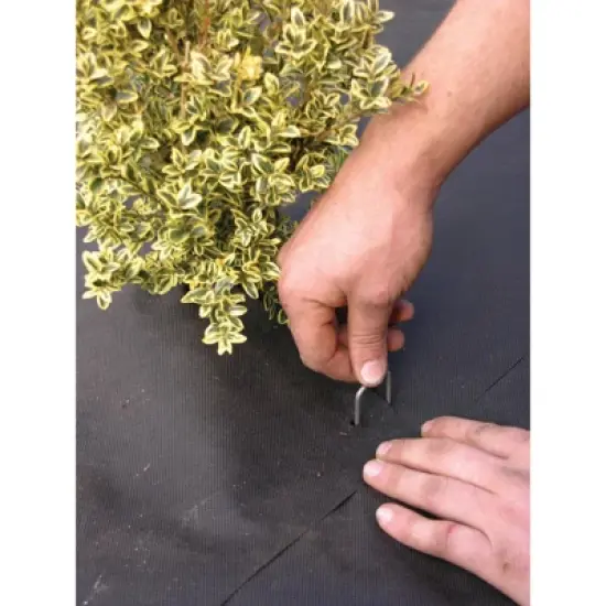 DeWitt Company 8 x 2 x 8 Inch 11 Gauge Galvanized Steel Anchor Pins, Great for Landscape Fabrics and Drip Irrigation Tubing, Bulk Package of 1000 image {3}