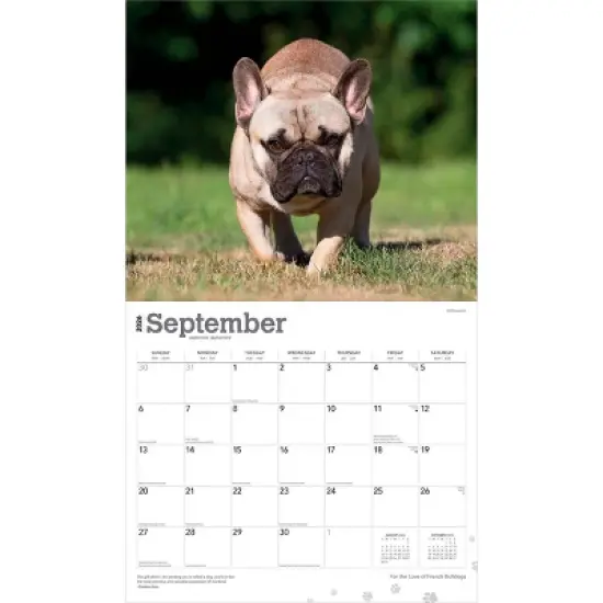 BrownTrout For the Love of French Bulldogs 2026 14"x24" Hanging Deluxe Wall Calendar Plastic-Free image {3}