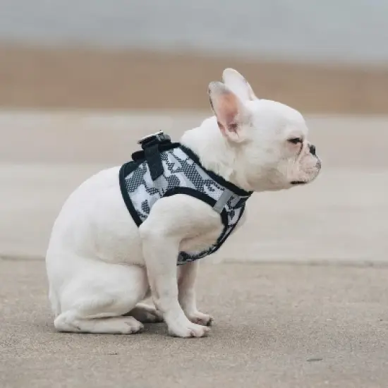 Doggie Design American River Dog Harness Camouflage Collection-Gray image {2}