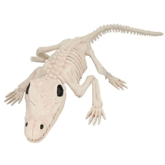Morris Costumes 13 1/2" Crocodile Skeleton Halloween Decoration image {1}