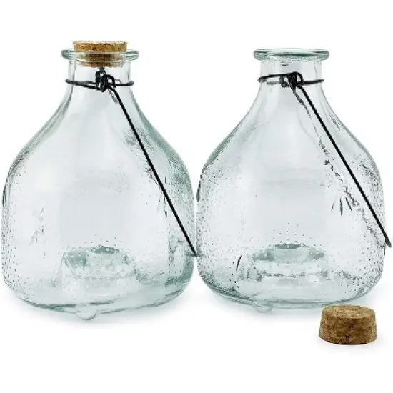 Darware Clear Glass Wasp Traps (2-Pack); Wasp Catchers for Garden and Home Use image {6}