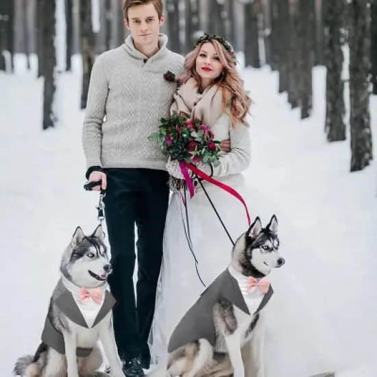 Kuoser Dog Tuxedo Dog Suit and Bandana Set, Dogs Tuxedo Wedding Party Suit, Dog Prince Wedding Bow Tie Shirt Formal Dog Wedding Attire, Gray - Small image {5}