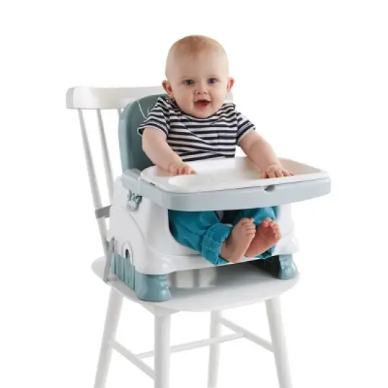 Fisher-Price Healthy Care Deluxe Booster Seat image {1}