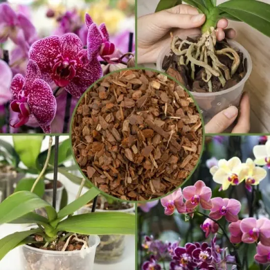 Soil Sunrise 100% Organic Orchid Potting Bark, Natural USA-Sourced Pine Bark Additive image {2}