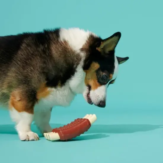 BARK Super Chewer Wreck of Ribs Dog Toy image {2}