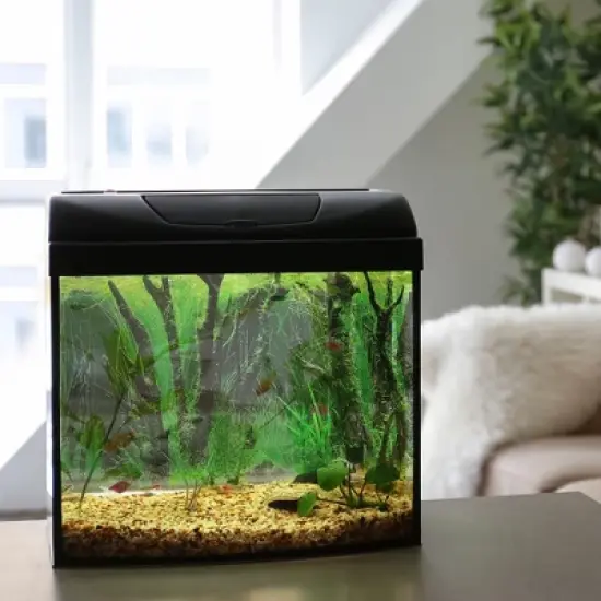 Unique Bargains Double-sided Aquarium Fish Tank Background Poster 1 Pc image {1}