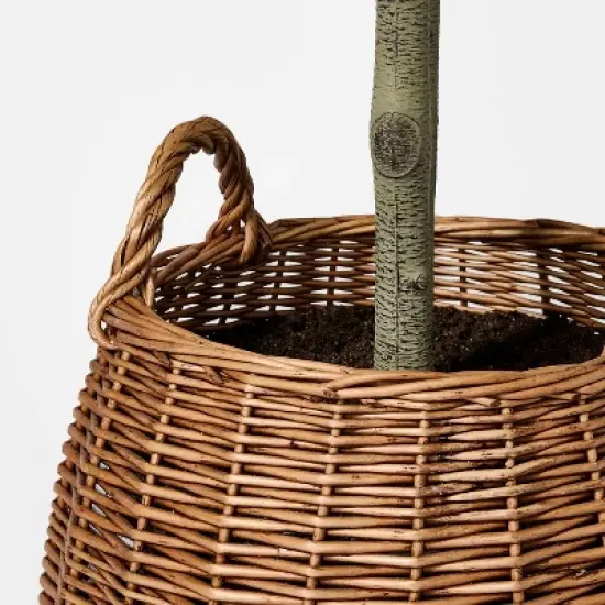 Bay Leaf Tree in Basket - Threshold&trade; designed with Studio McGee image {3}