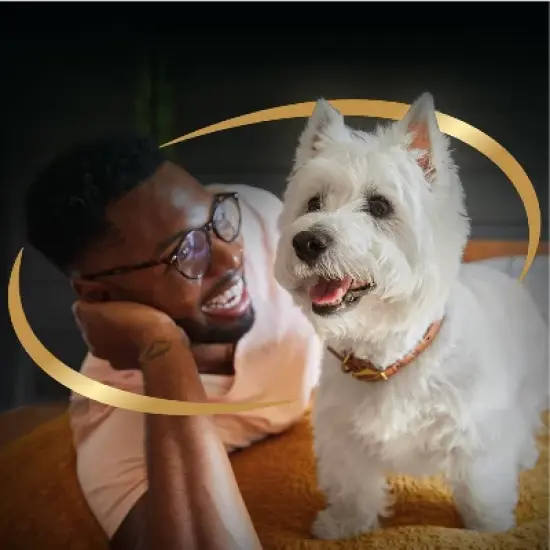 Cesar Rotiserrie Chicken, Steak and Gravy Flavor Variety Pack Pouch Small Breed Wet Dog Food - 35.2oz/20ct image {8}