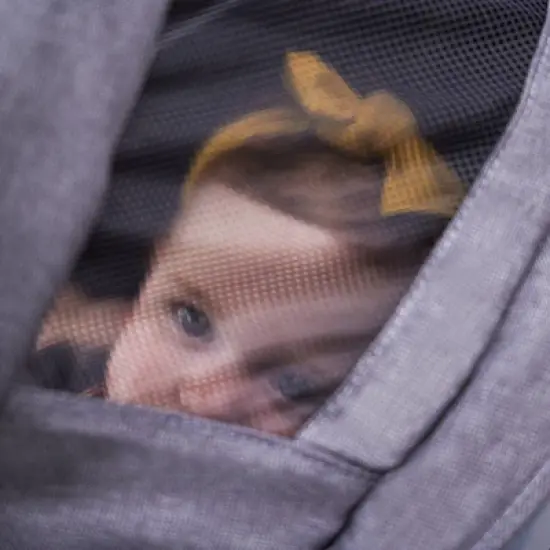 Safety 1st on Board Slide 6-in-1 Travel System with Safety Slide Base - Gray image {16}