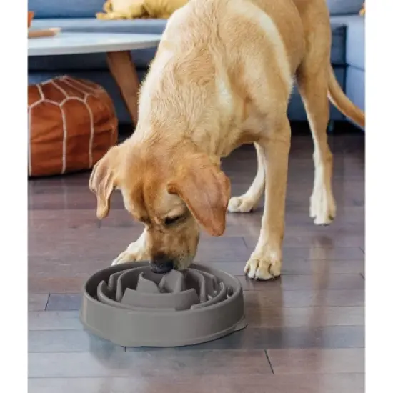 Outward Hound Fun Feeder Slo-Bowl For Dogs - L - Gray image {2}