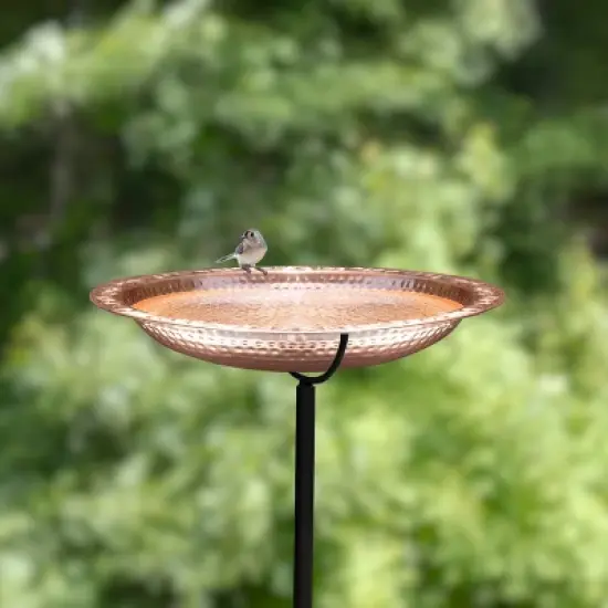 BBG18 18" Pure Copper Bird Bath on Garden Pole - Good Directions image {4}