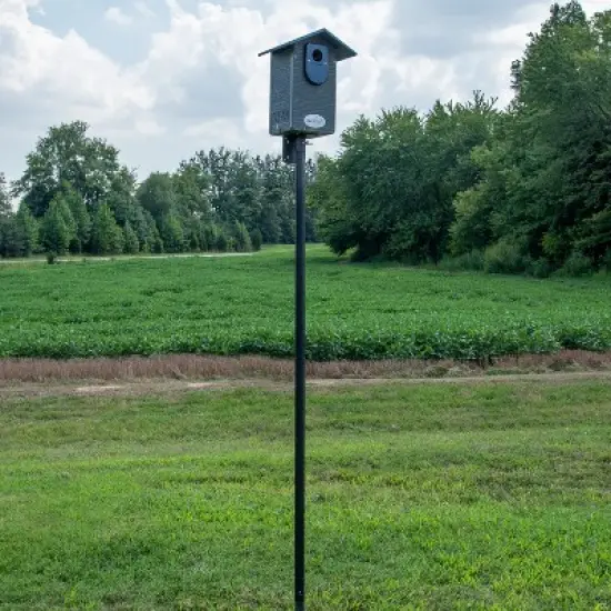 JCS Wildlife Ultimate Bluebird House - Mounting Pole Bundles Available! image {2}