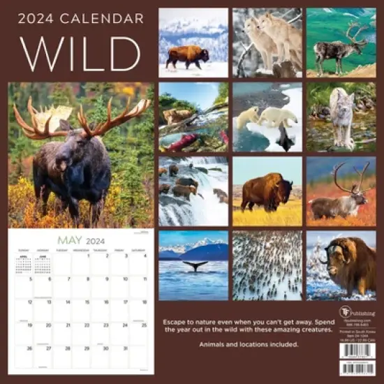 TF Publishing 2024 Wall Calendar 12"x12" Wild image {4}