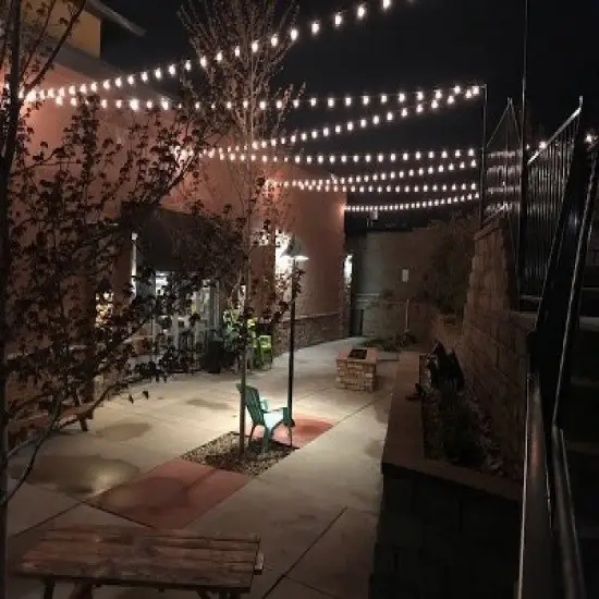 Novelty Lights Clear G40 Globe Hanging Outdoor String Light Replacement Bulbs E12 Candelabra Base 5 watt image {5}