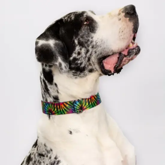 Country Brook Petz Tie Dye Stripes Martingale Dog Collar image {9}