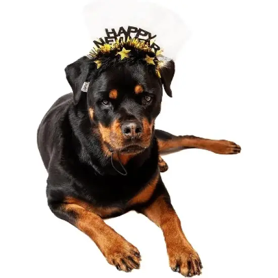 Midlee Happy New Year Dog Headband image {4}