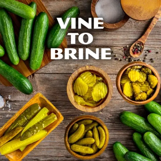 Mt. Olive Simply Pickles Hamburger Dill Chips - 24 fl oz image {4}