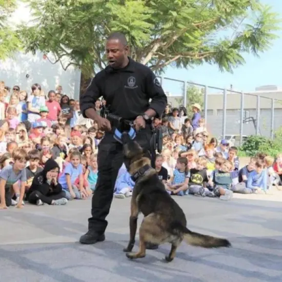 Katie's Bumpers Double Tug Firehouse Dog Toy, Assorted image {5}
