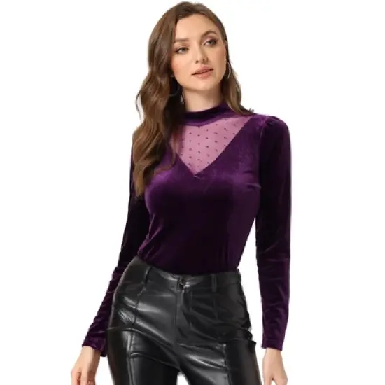 Allegra K Women's Casual Velvet Long Sleeve Choker Neck Heart Dots Mesh Panel Top image {6}
