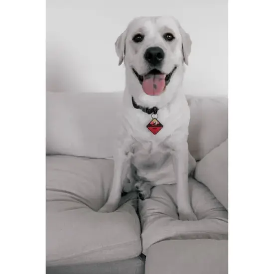 QALO TraQ Powered By Tile Dog and Cat Silicone Bluetooth Trackable Pet ID Tag - Red image {1}