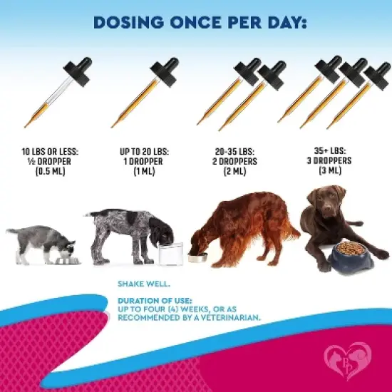 Beloved Pets Urinary Tract Support Supplement with Cranberry for Cats and Dogs, Kidney Bladder Health Natural Renal Care Liquid Drops 2 Oz - 1 Pack image {6}