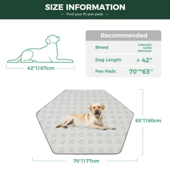 FXW Washable Pee Pads for Dogs, Puppy Pads with Super Absorbent, 1 Pack image {1}