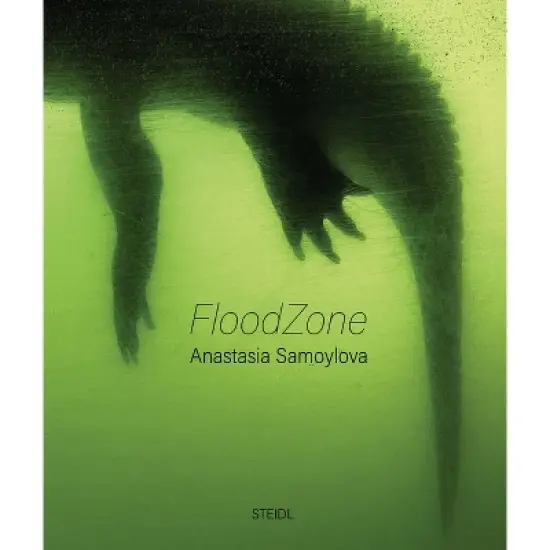 Anastasia Samoylova: Floodzone - (Hardcover) image {1}