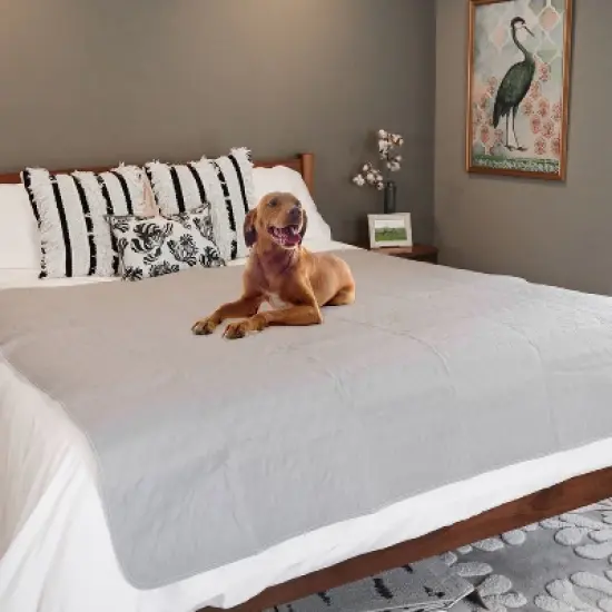 rocket & rex No Slip, Washable Reusable Whelping and Playpen Pads for Dogs image {7}