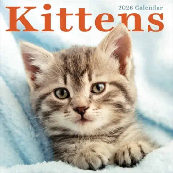 TF Publishing 13.5"x14.5" 2026 Kittens Wall Calendar image {1}