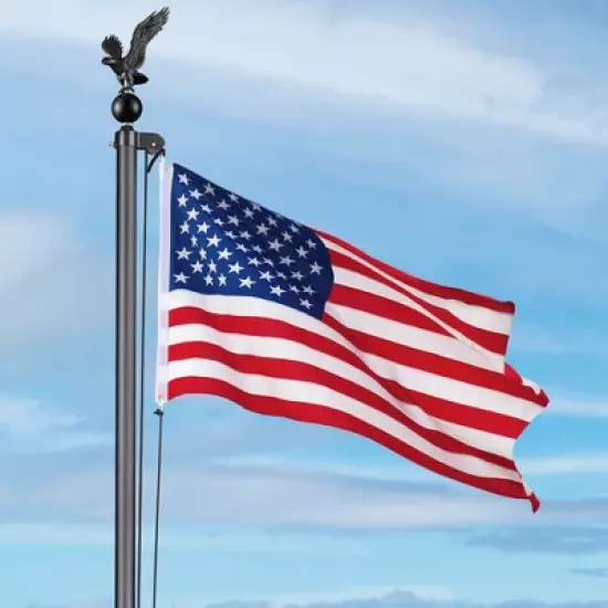 Yescom Flag Pole Parts Repair Kit  Eagle Cleat Clip Truck Pulley Rope image {2}