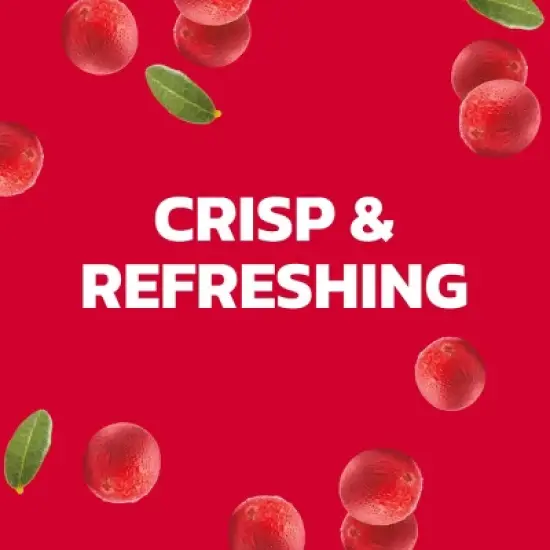 Ocean Spray Sparkling Diet Cranberry - 4pk/11.5 fl oz Cans image {3}