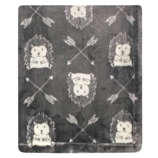 Hudson Baby Infant Boy Cozy Plush Luxury Blankets 2pk, Hedgehog, One Size image {1}