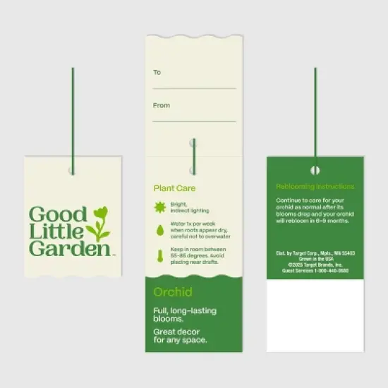 5" Double Cascade Orchid - Good Little Garden&trade; image {5}