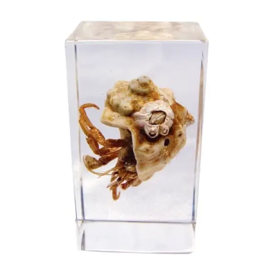 Kaplan Early Learning Animal & Plant Specimen Sets image {2}