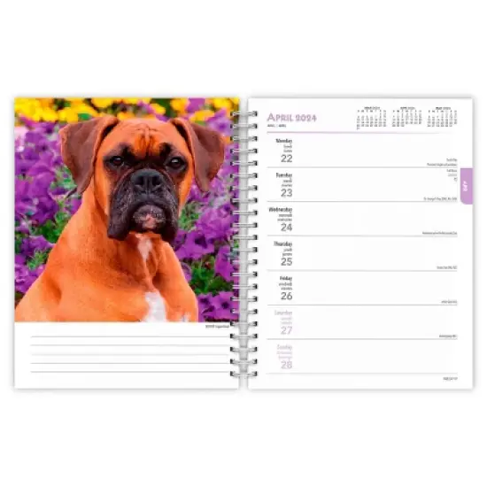 Browntrout 23-2024 Weekly/Monthly Planner 7.5"x7.125" Boxers International Edition image {2}