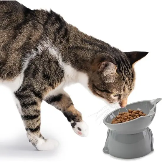 Nice Paws RECYCLED 2PC Plastic Cat Tilt Pet Bowls image {4}