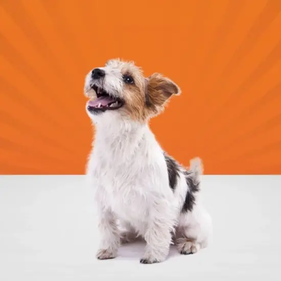 Blue Buffalo Sizzlers Natural Bacon-Style Soft-Moist Dog Treats Original Pork image {3}